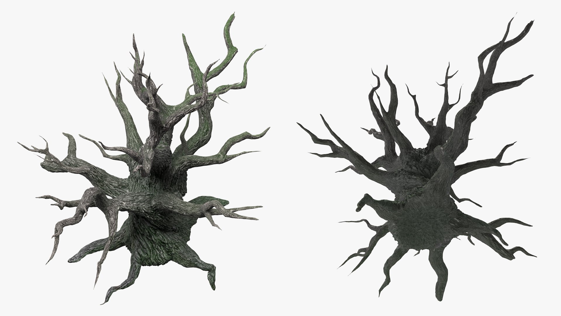 3D spooky old twisted tree winter model https://p.turbosquid.com/ts-thumb/YV/N2nyx3/s76pyBZR/spookyoldtwistedtreemb3dmodel007/jpg/1588078978/1920x1080/fit_q87/69fd8b70f209f14c2bd89d6a250adeda71d75835/spookyoldtwistedtreemb3dmodel007.jpg