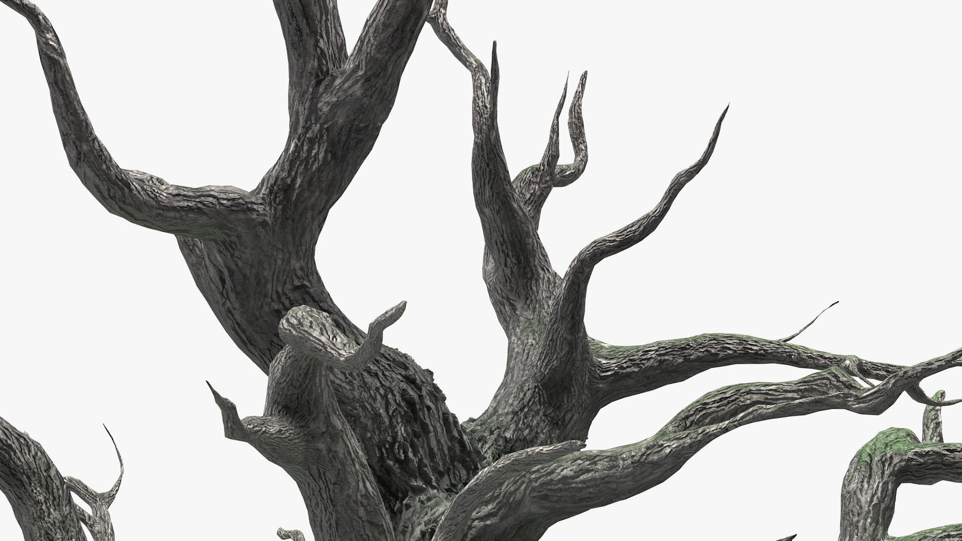 3D spooky old twisted tree winter model https://p.turbosquid.com/ts-thumb/YV/N2nyx3/zthXXG0e/spookyoldtwistedtreemb3dmodel010/jpg/1588078991/1920x1080/fit_q87/b82a2abd84b19666a3acac8263e2b185b1e2e590/spookyoldtwistedtreemb3dmodel010.jpg