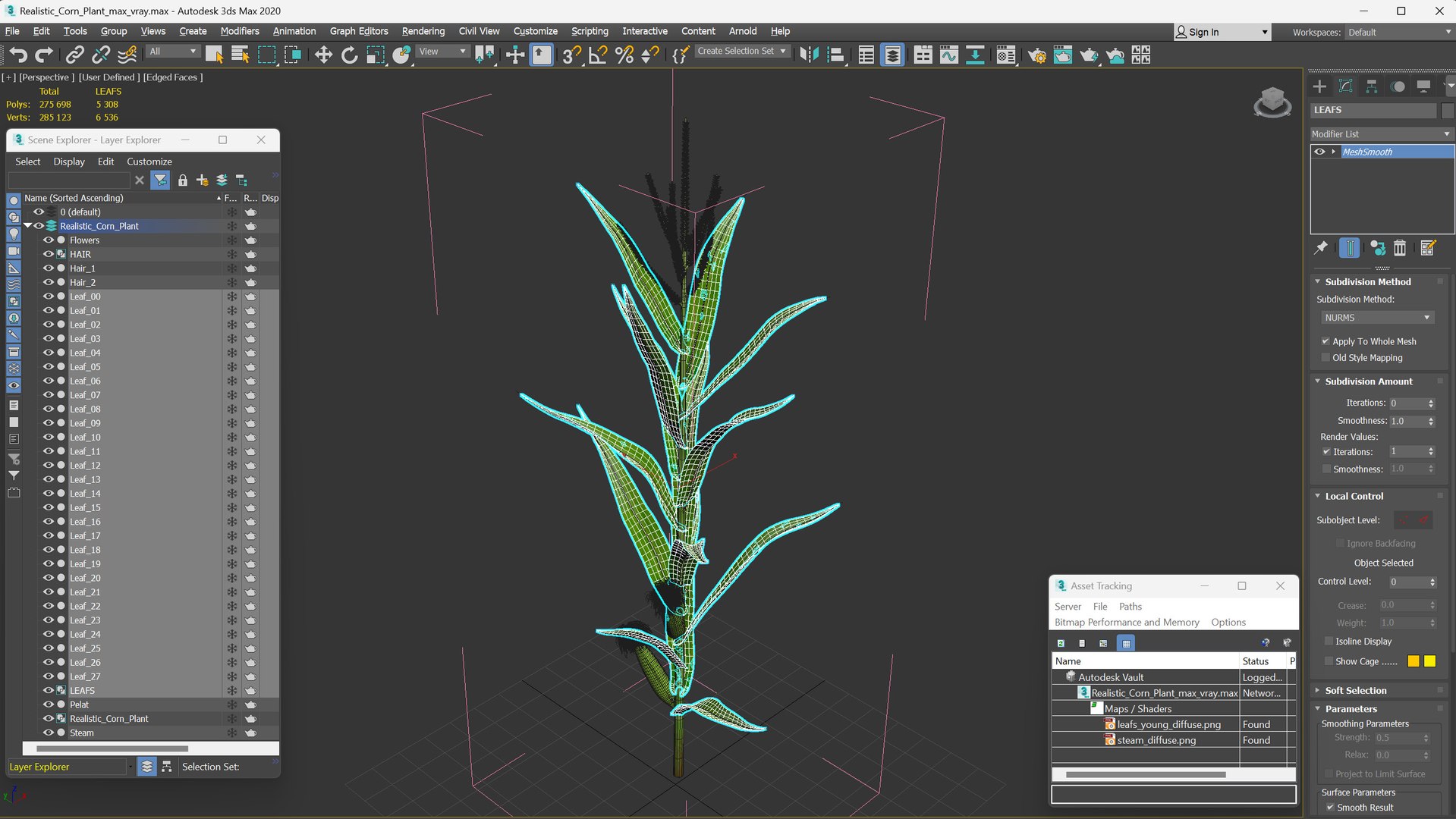 Realistic Corn Plant 3D - TurboSquid 2329249