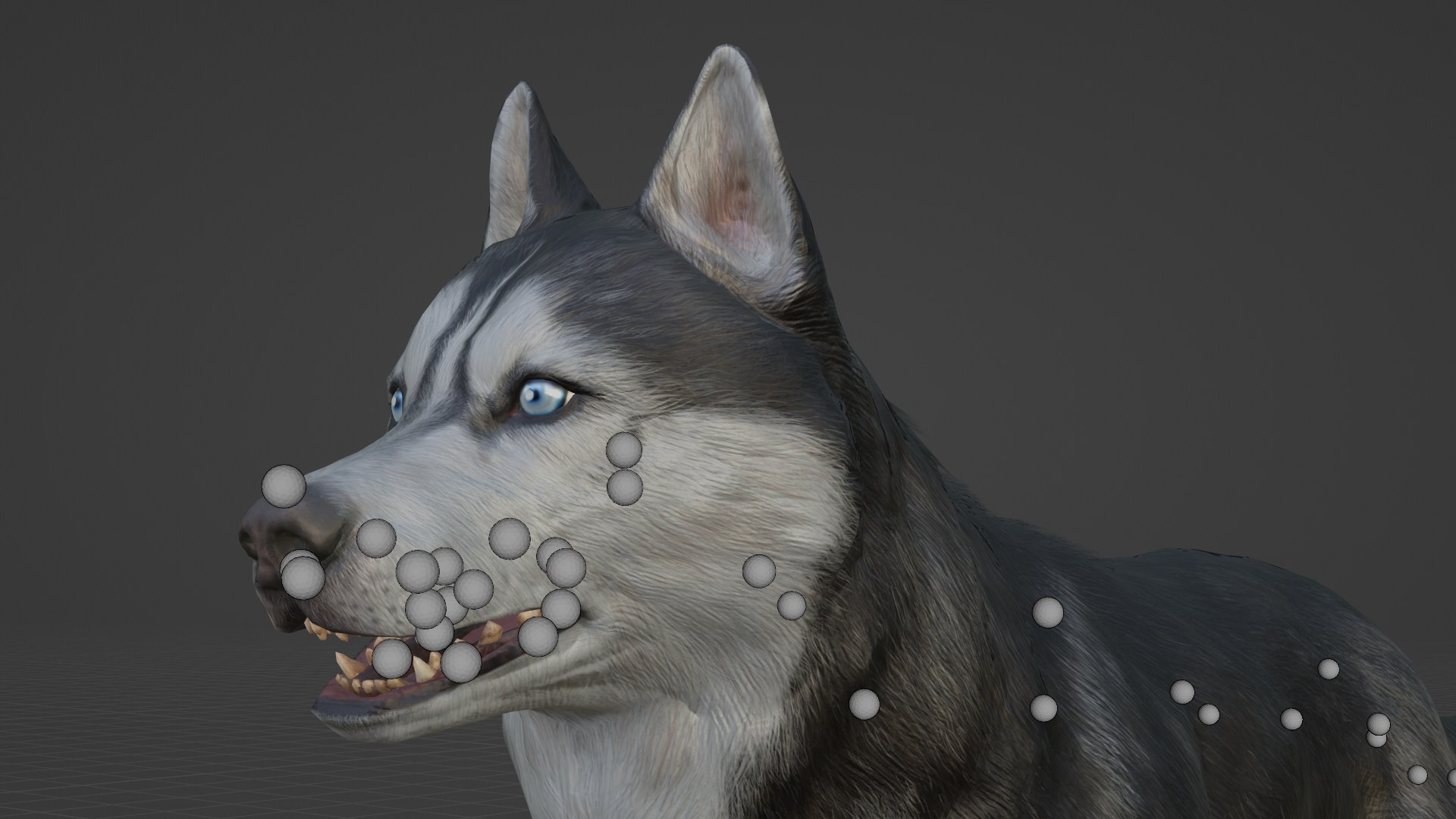 3D DOG - HUSKY https://p.turbosquid.com/ts-thumb/YV/jdI0EG/99/4/png/1676899485/1920x1080/fit_q87/52bdf0a875659cc92f375d8c639ecfea4ee62bff/4.jpg
