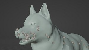 DOG - HUSKY