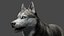 DOG - HUSKY