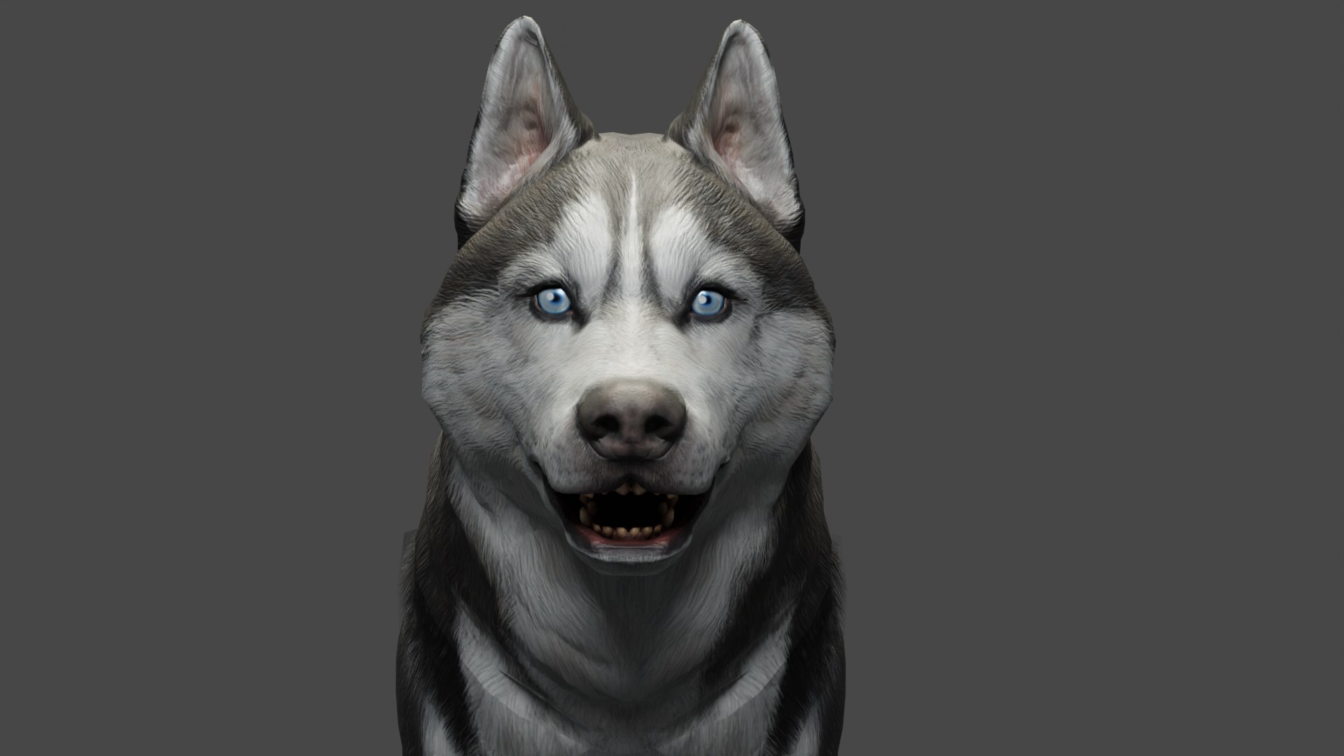 3D DOG - HUSKY https://p.turbosquid.com/ts-thumb/YV/jdI0EG/W6/untitled/png/1676899474/1920x1080/fit_q87/3a01a776d44a83cd663f0f689a8475e842ab0ada/untitled.jpg