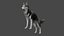 DOG - HUSKY