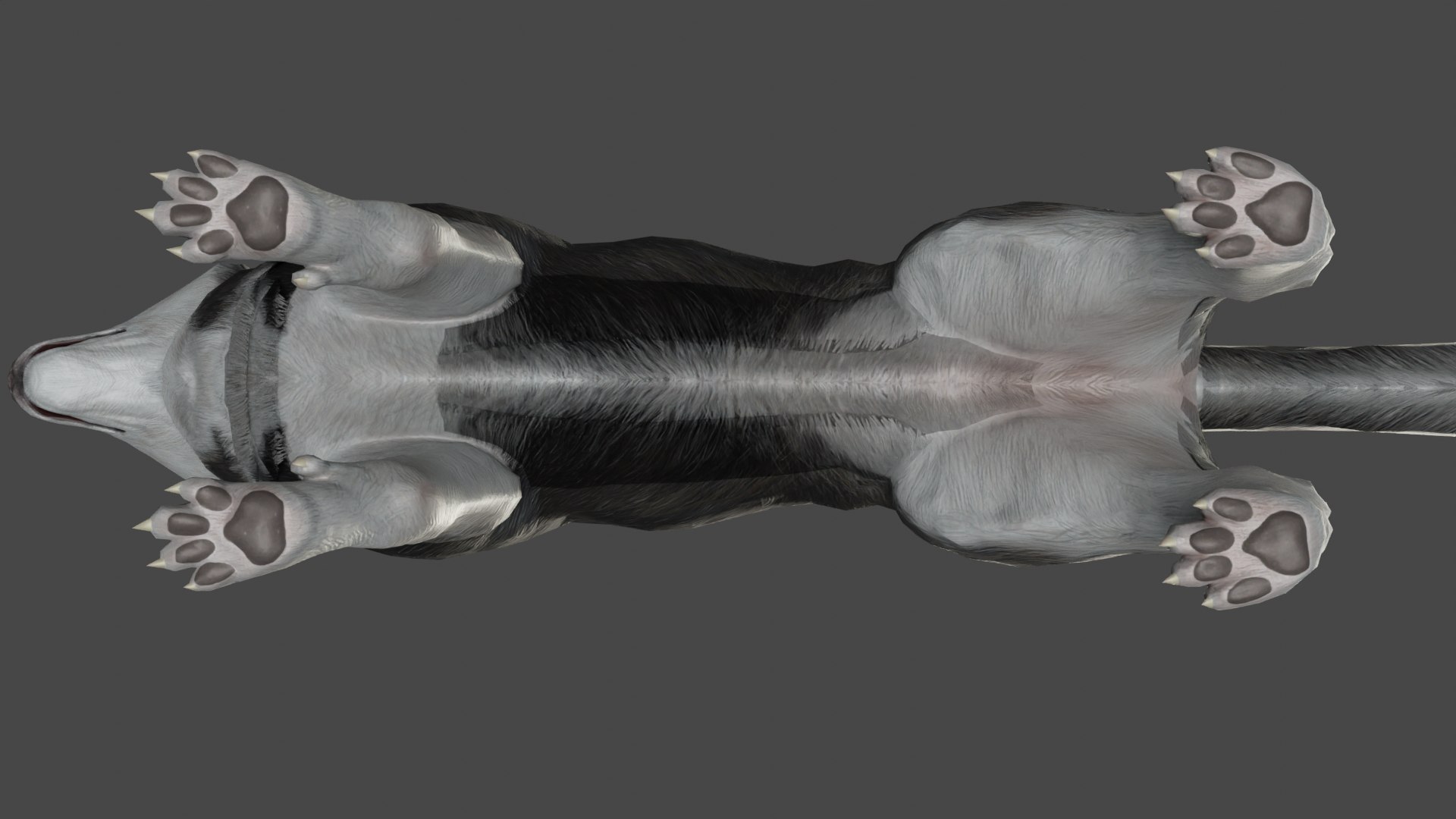 3D DOG - HUSKY https://p.turbosquid.com/ts-thumb/YV/jdI0EG/yt/11/png/1676899492/1920x1080/fit_q87/efa24bb058330ead41b9d3b398e4f484cd772368/11.jpg
