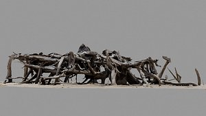 Dead Tree 006