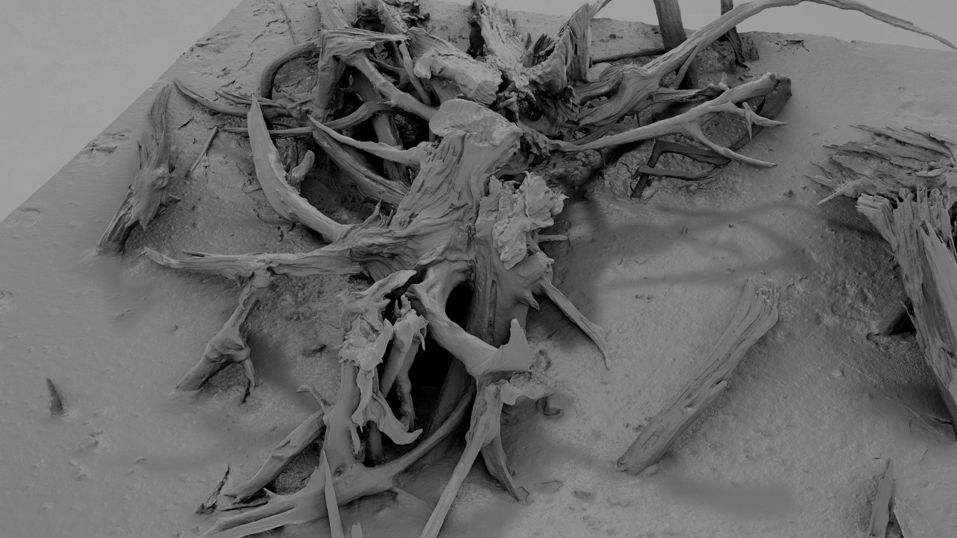 3D Model Dead Tree 006 - TurboSquid 2324907