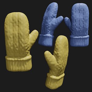3D Rigged Colored mitten