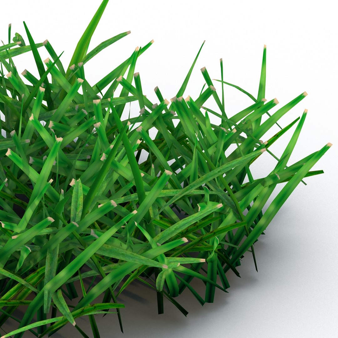 3d Model Grass 4