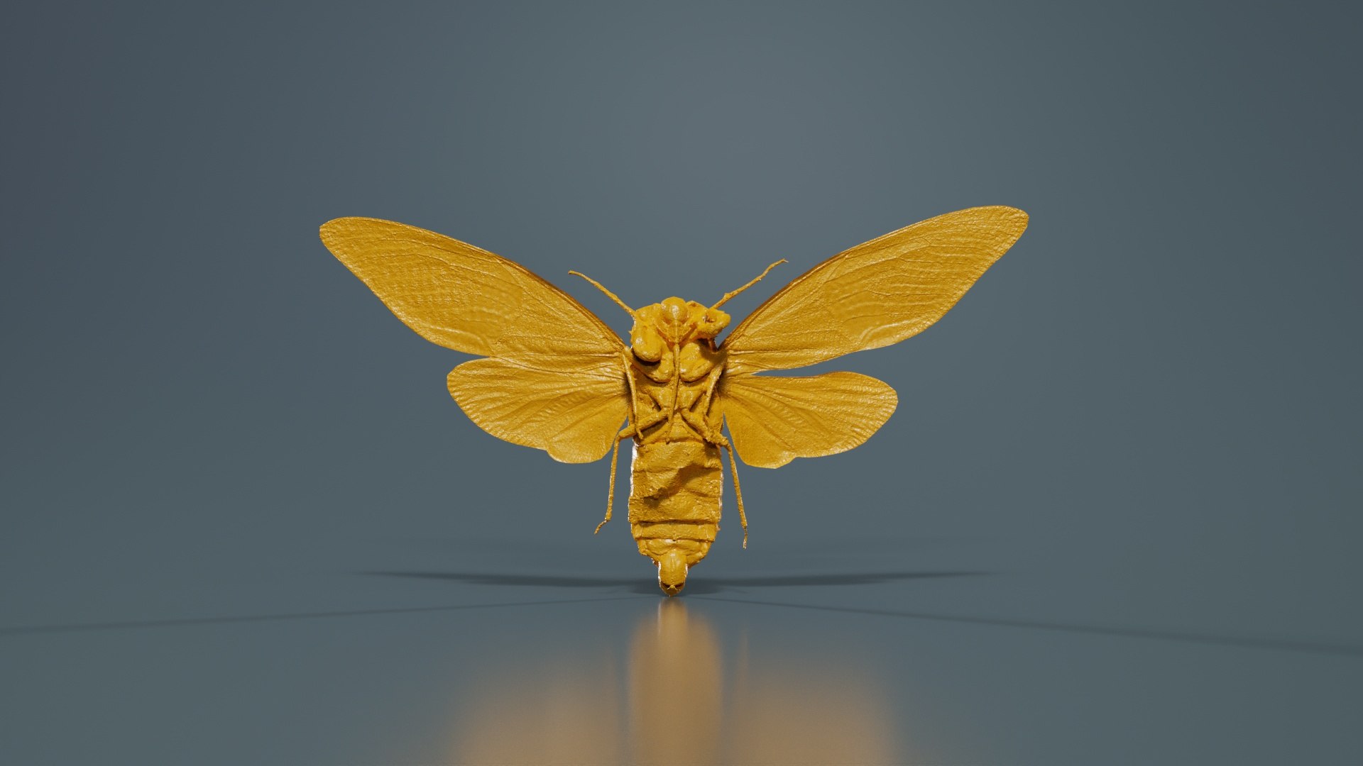 Tosena Fasciata Sumatra Remastered model https://p.turbosquid.com/ts-thumb/YW/ImM16c/Gu/tosena_fasciata_sumatra_13/jpg/1740083826/1920x1080/fit_q87/93794327fdfd589f7d1edcd63ffbfeb33b7021b2/tosena_fasciata_sumatra_13.jpg