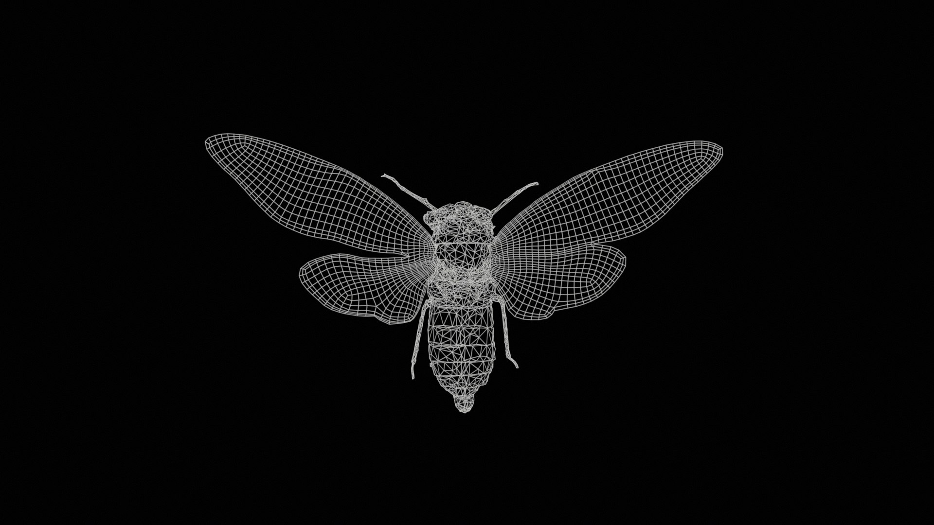 Tosena Fasciata Sumatra Remastered model https://p.turbosquid.com/ts-thumb/YW/ImM16c/eX/tosena_fasciata_sumatra_11/jpg/1740083820/1920x1080/fit_q87/b1ccc47819ae24fd6eb0621113838723bb75bbe5/tosena_fasciata_sumatra_11.jpg