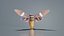 Tosena Fasciata Sumatra Remastered