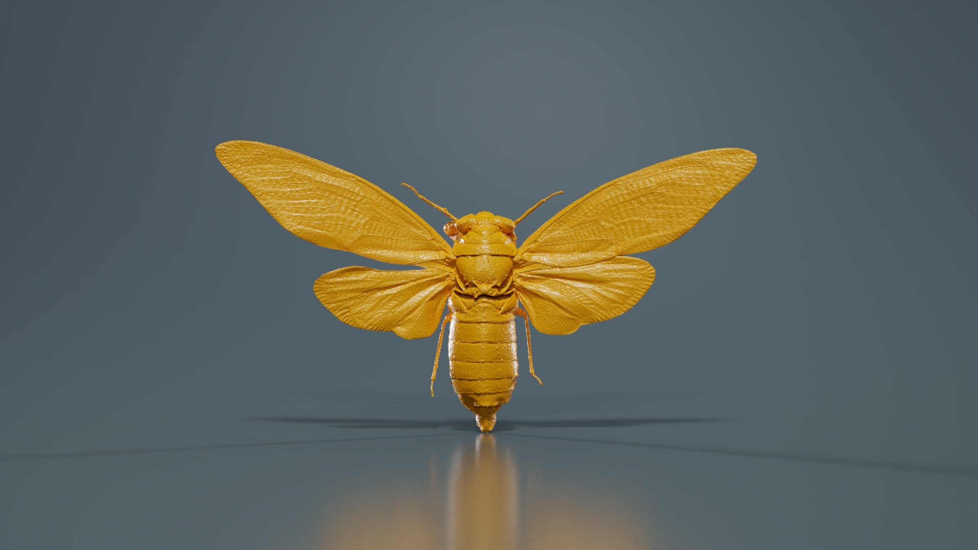 Tosena Fasciata Sumatra Remastered model https://p.turbosquid.com/ts-thumb/YW/ImM16c/uZ/tosena_fasciata_sumatra_12/jpg/1740083823/1920x1080/fit_q87/2de35c79ead34c0387cc47512ac143a282fb8d13/tosena_fasciata_sumatra_12.jpg