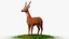 3D Deer model