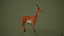3D Deer model