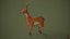 3D Deer model