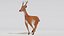 3D Deer model