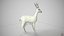 3D Deer model