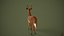 3D Deer model