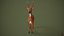 3D Deer model
