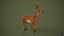 3D Deer model