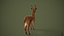 3D Deer model