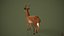3D Deer model