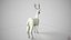 3D Deer model
