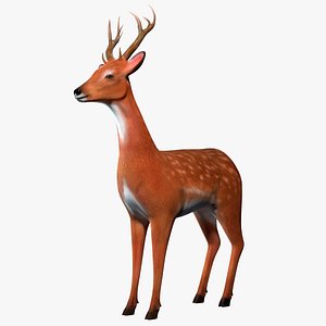 Deer