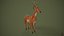 3D Deer model