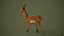 3D Deer model