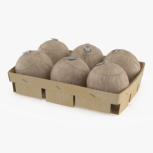 Natural Coconuts with Opener in Wooden Basket