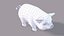 3D pig cartoon v03 animal