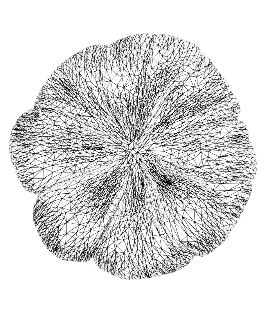 fungus mushroom plant model https://p.turbosquid.com/ts-thumb/YW/eHg4mY/NPCXK9V3/wireframe02/png/1532408545/1920x1080/fit_q87/234137f7d1987c72c1bbadaf8ec8f2786ba87183/wireframe02.jpg