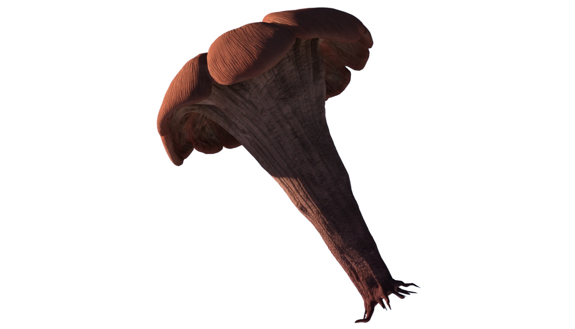 fungus mushroom plant model https://p.turbosquid.com/ts-thumb/YW/eHg4mY/RWuloyuP/fungus04/png/1532406332/1920x1080/fit_q87/7611e623f44ff2f709e0dda07eb51b4800eda655/fungus04.jpg
