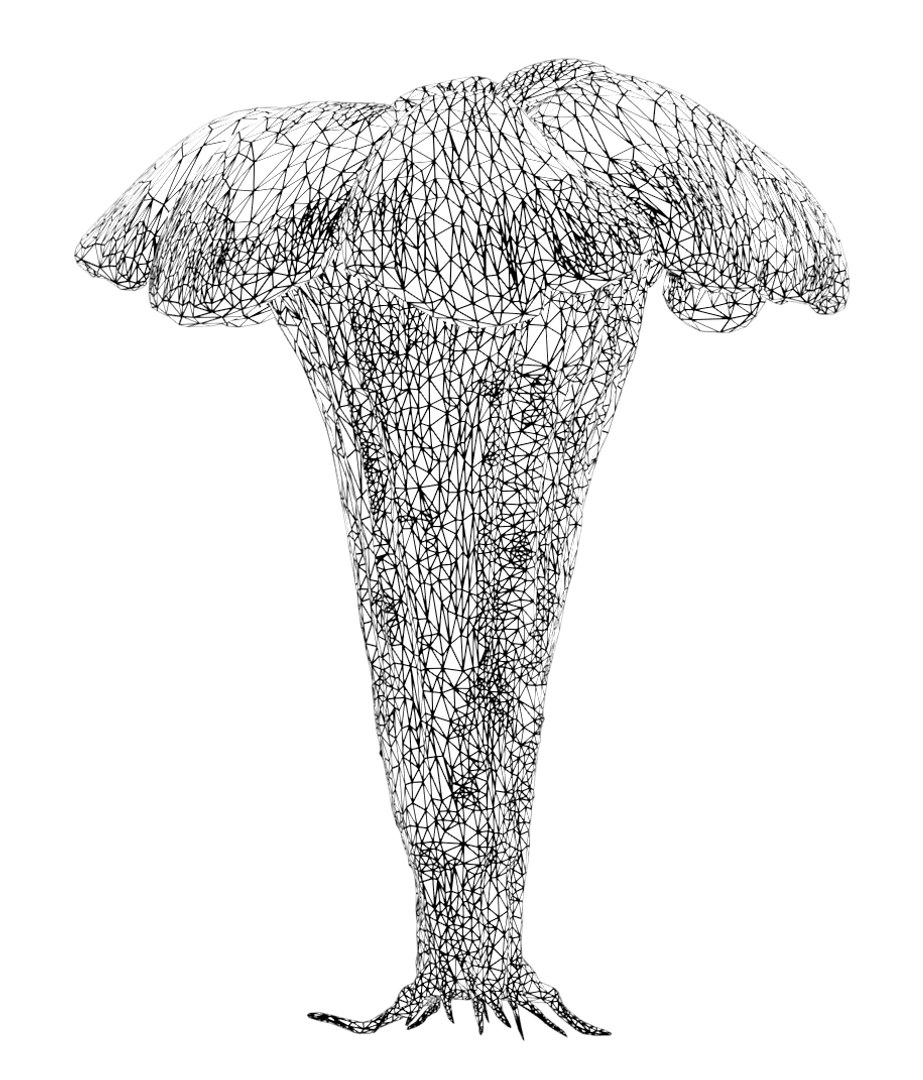 fungus mushroom plant model https://p.turbosquid.com/ts-thumb/YW/eHg4mY/cSfM5goZ/wireframe01/png/1532408534/1920x1080/fit_q87/a6ca7e2af43708cd1f2aecce7115374d6e598ae3/wireframe01.jpg
