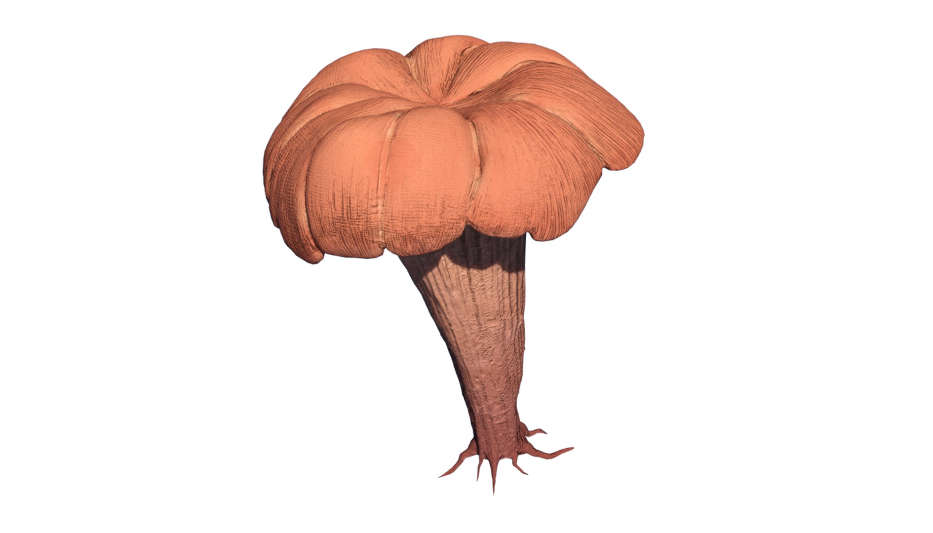 fungus mushroom plant model https://p.turbosquid.com/ts-thumb/YW/eHg4mY/gO3pRtHp/fungus03/png/1532406318/1920x1080/fit_q87/02bdd9093649c8e5121f1aa8b94979c4adc4ad02/fungus03.jpg
