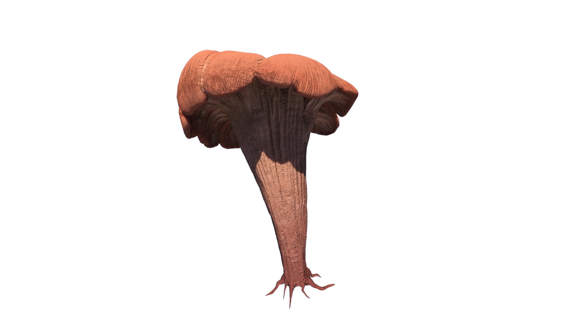 fungus mushroom plant model https://p.turbosquid.com/ts-thumb/YW/eHg4mY/iaj5d81s/fungus02/png/1532406291/1920x1080/fit_q87/d15b53a4f9bd28c18e5a34159d73df9ce4af180b/fungus02.jpg