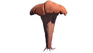 Huge Fungus