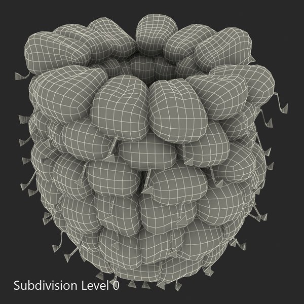 ripe red raspberry 3d 3ds