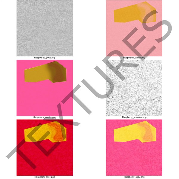 ripe red raspberry 3d 3ds