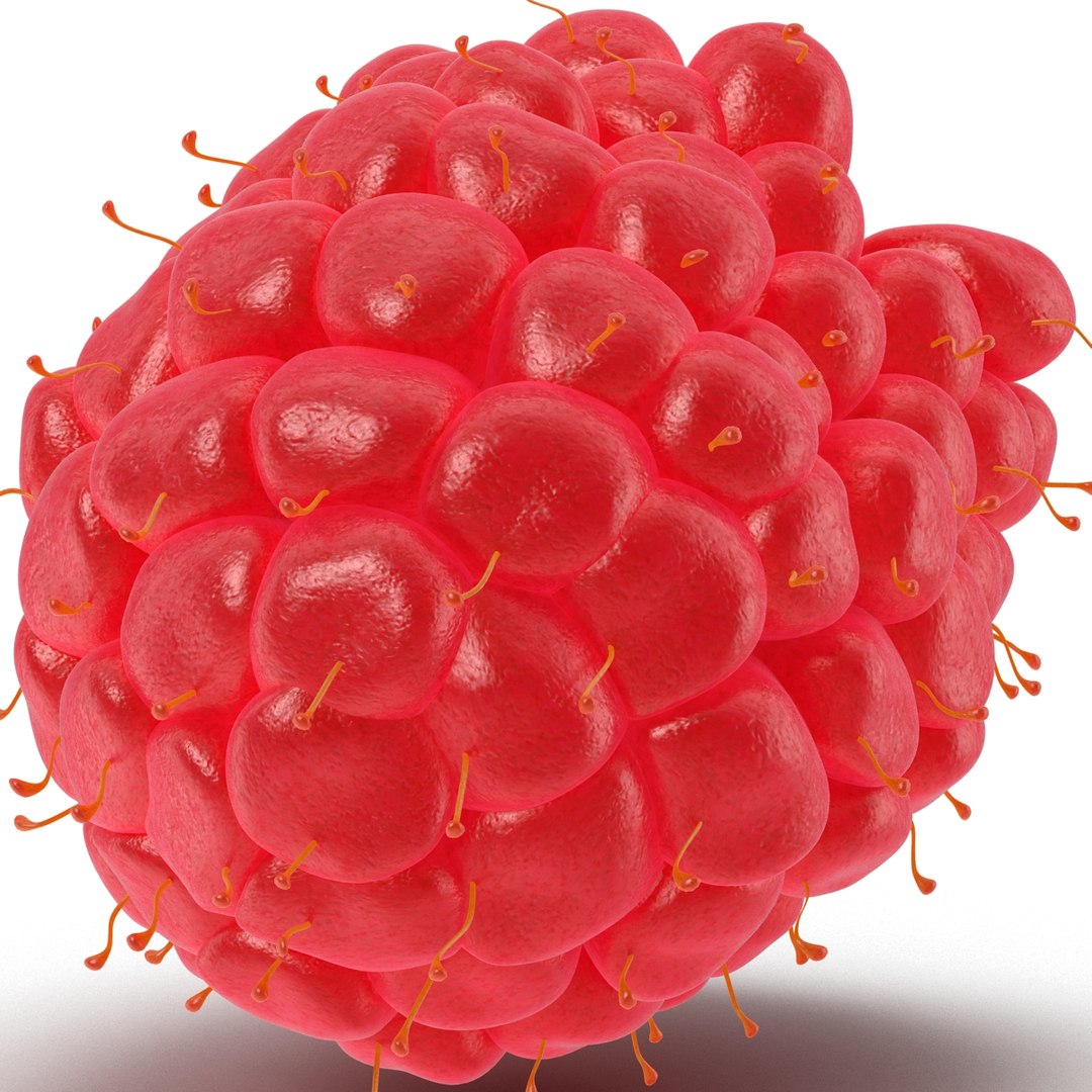 ripe red raspberry 3d 3ds