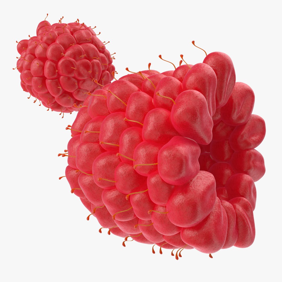 Ripe Red Raspberry 3D model preview