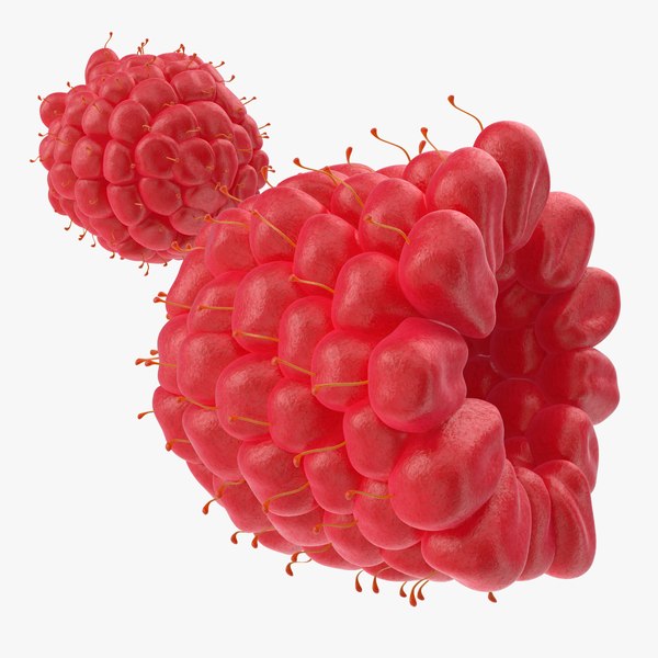 ripe red raspberry 3d 3ds