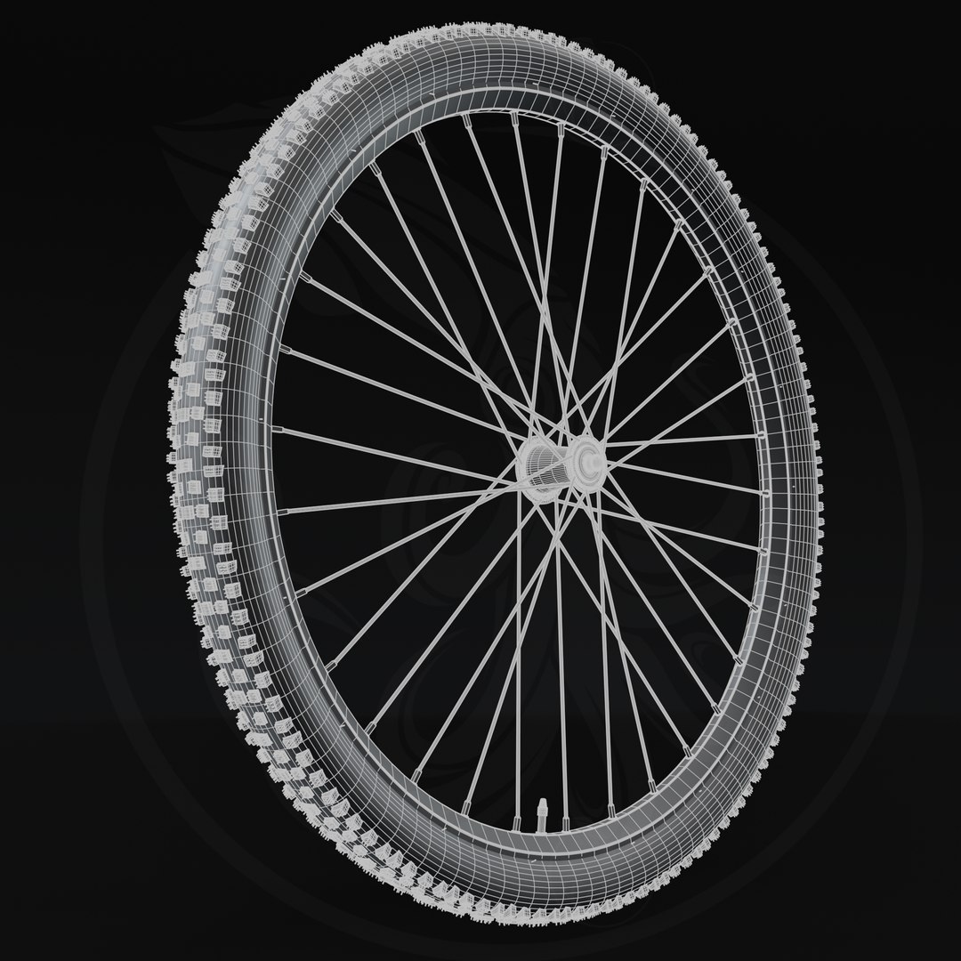 SCHWALBE Tire Nobby Nic 29 x 2,40 Super Trail ADDIX Soft EVO SnakeSkin TLE 3D https://p.turbosquid.com/ts-thumb/YW/iyJnuV/eU/render19/png/1637333738/1920x1080/fit_q87/16bb5b2e82f8b9771b0bcac01b5395f503b6f695/render19.jpg