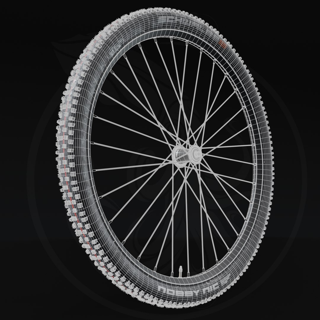 SCHWALBE Tire Nobby Nic 29 x 2,40 Super Trail ADDIX Soft EVO SnakeSkin TLE 3D https://p.turbosquid.com/ts-thumb/YW/iyJnuV/wN/render18/png/1637333709/1920x1080/fit_q87/2c7e7be9030855a93bef0253384a151d5a1a7750/render18.jpg