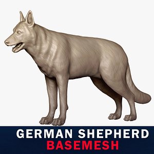 3D German Shepherd Base Mesh 3D model model