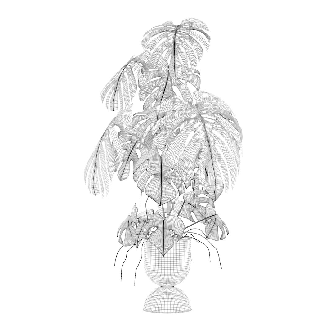 3D Monstera in rattan flower pot model https://p.turbosquid.com/ts-thumb/YW/oBOS4q/hZ/2/jpg/1707238006/1920x1080/fit_q87/8885bb8d01ca702f6b85bbc0342f372533b58f31/2.jpg