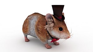 Mouse model