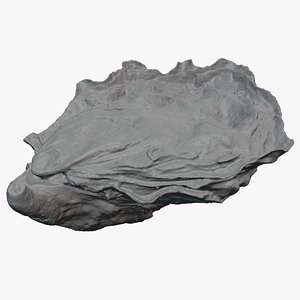 3D Oyster 02 for 3D Print model